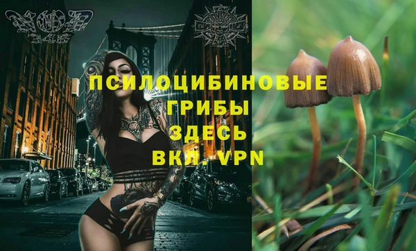 MDMA Новодвинск