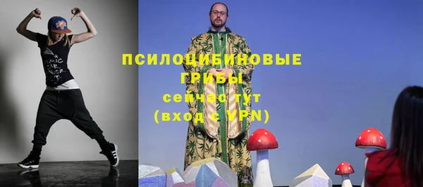 MDMA Новодвинск