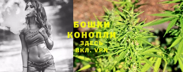 spice Новозыбков