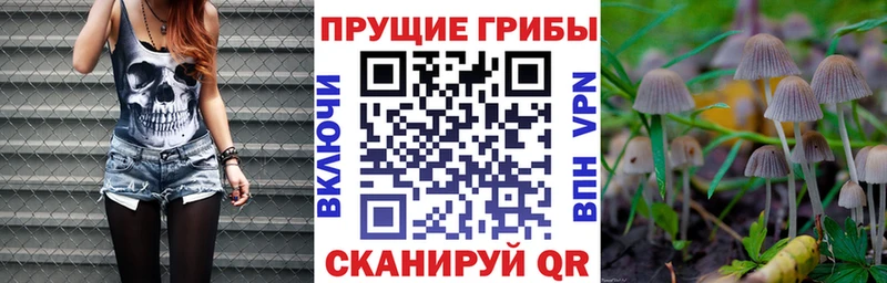 Псилоцибиновые грибы прущие грибы  ссылка на мегу как зайти  darknet Telegram  Саратов 