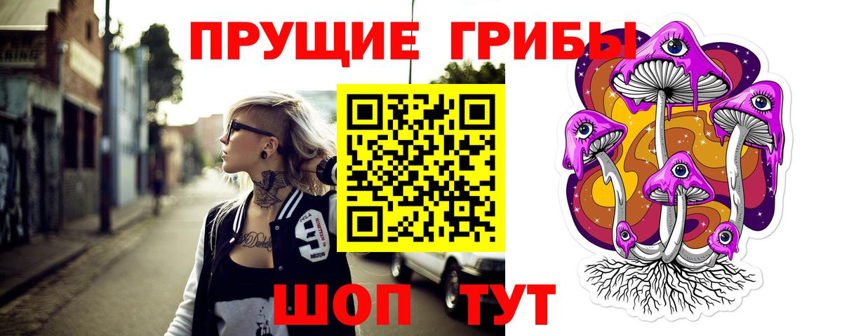 Саратов  Псилоцибиновые грибы прущие грибы  Вход с VPN 